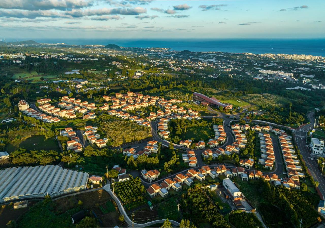 Camphortree Hotel And Resort Czedżu Zewnętrze zdjęcie